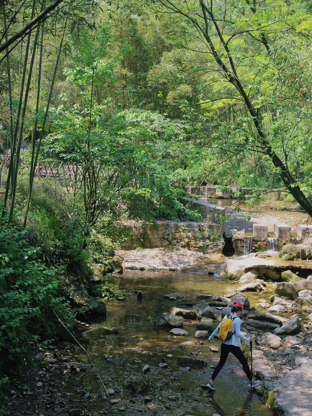 成都1h直达5000亩竹林，不费腿0门票，徒步挖笋玩水遛娃天花板！