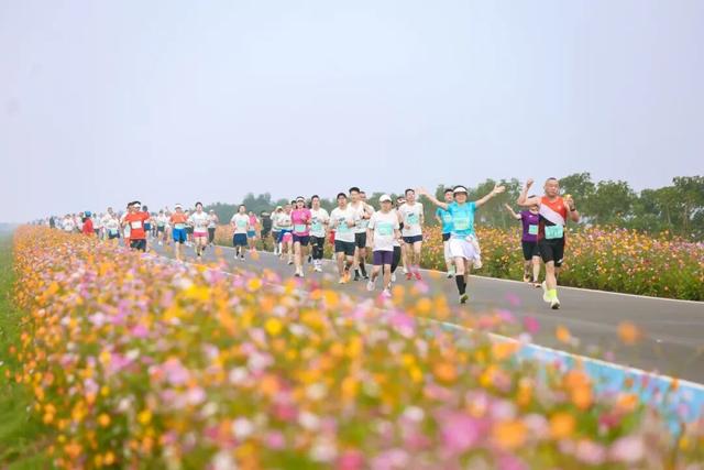 走起！荆州洪湖推出三条冬游线路！