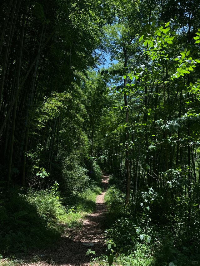 实测低9℃！成都1.5h的免费溯溪玩水遛娃路线，超安逸！