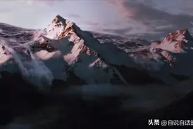 进化论为何被推上神坛？原来除了进化论，还有另一套学说可以解释图片