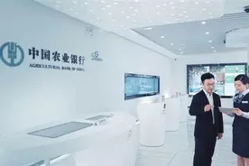 【深圳特区报】做精做深“五篇大文章” 农行深圳分行笃行实干 奋力书写高质量发展答卷图片