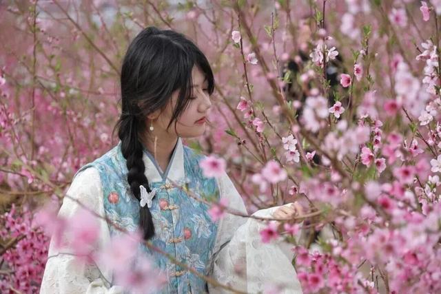 4月25日！一〇四团“大话西游万亩桃园”赏花季浪漫启幕！