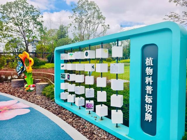 遛娃好去处+1！民主公园建设完成啦~