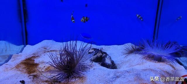 郑州攻略之海洋馆