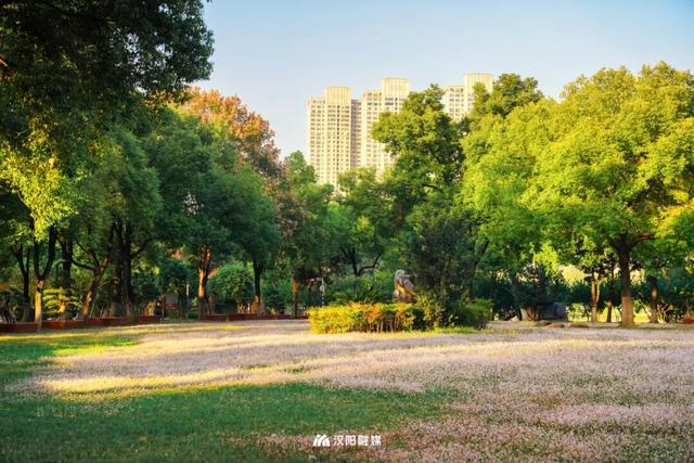 汉阳，变色……了