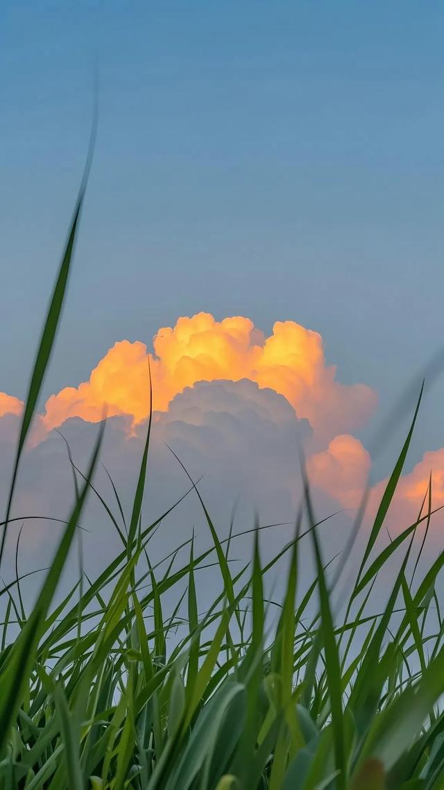夏天云朵有一万种浪漫