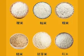 中医推荐的夏季养胃良药：粳米汤全面指南图片