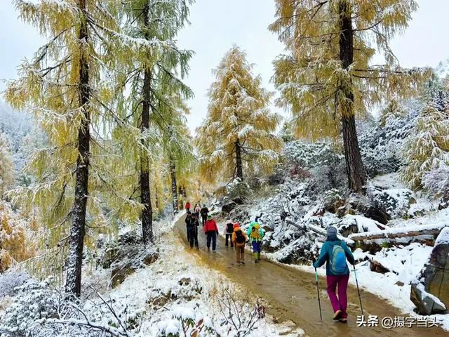 甲依拉措 ：一场白雪与彩林的盛宴