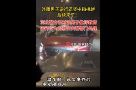 外籍男子逆行还竖中指挑衅后续来了 ！图片