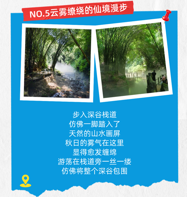 邂逅竹海秋日，解锁25℃的绿意仙境！
