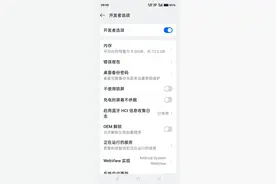 手机打开开发者模式，简单设置可以让手机更流畅图片