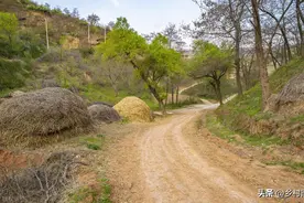 堂姐多年前收棉花时被人叫进家，从此再没人见过她，去向至今成谜图片
