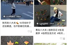 突然爆火！青岛不少人扎堆往户外赶，都是冲着它们去的！网友：已上瘾……图片