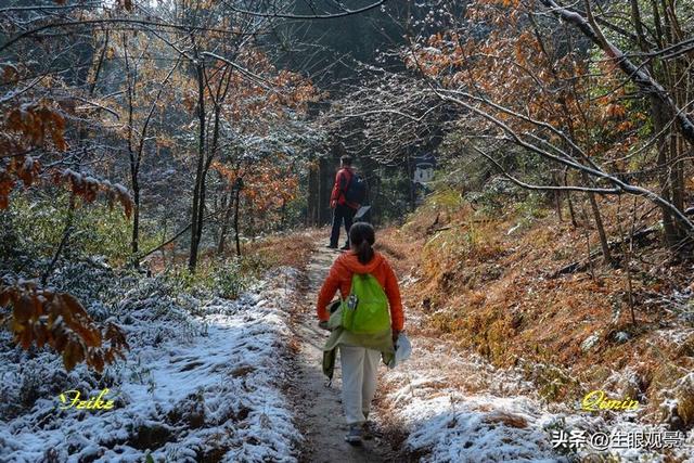 影记 | 衢州钱江源国家森林公园
