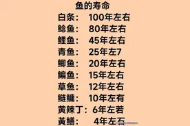 各种鱼的寿命，你知道吗？收藏起来看一看图片