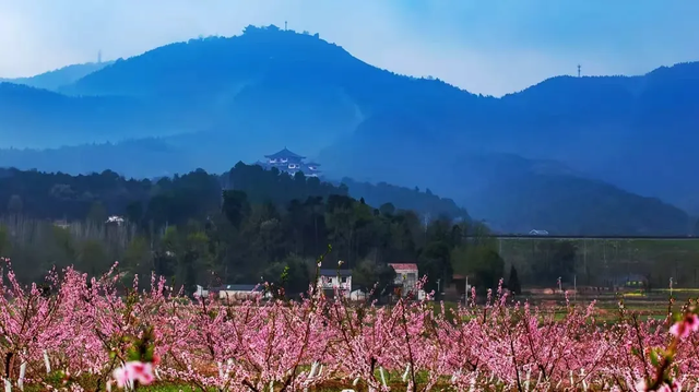 看不完，根本看不完！