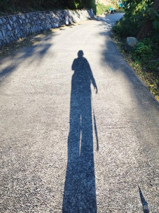 以我4次经历，带你打卡北京香山，北京的朋友请补充