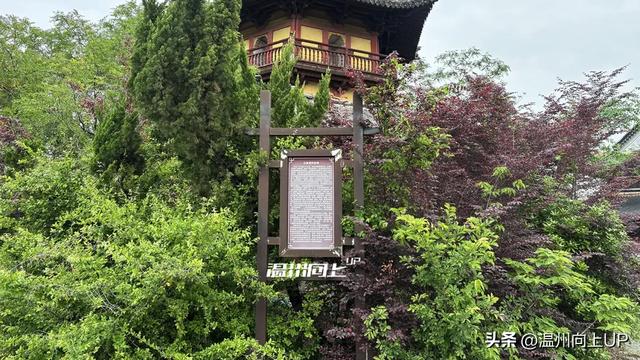 温州这座出土了众多国宝的“宝藏古镇”，能否成为下一个梧田老街