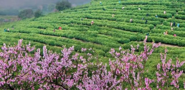 太湖边，每一步都是风景！