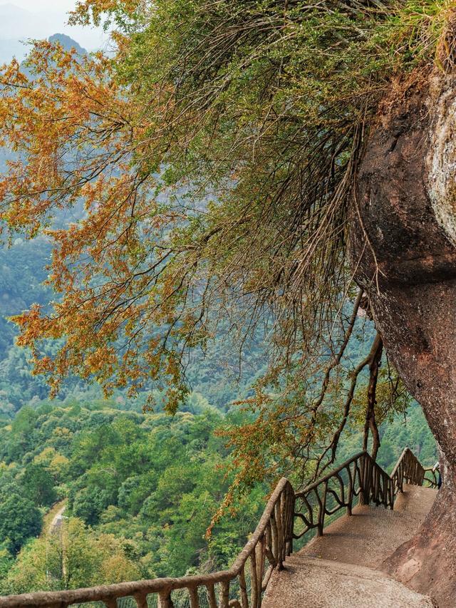 秋假搭配松弛感，齐云山的秋天有亿点不一样 | 皖美冬日 | 第十五届安徽国际文化旅游节