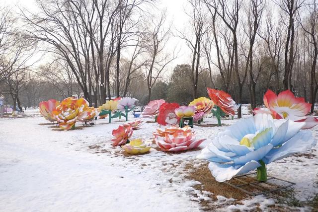 实拍!洛阳新春灯会来了!超多惊喜