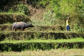 乡镇公务员，大专生的出路之一，有3种岗位可选择！图片