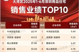 深圳项目销售排行榜出炉，中洲迎玺勇夺上半年销售冠军！图片