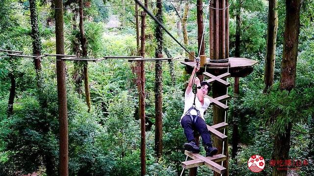 日本亲子游推荐「FOREST ADVENTURE」：享受森林冒险的刺激
