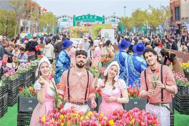 张汉成〡醉在盐城，那一片多情的大丰花海