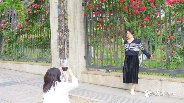 移步皆景！威远这里200多米的“花瀑布”藏不住了