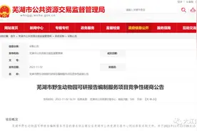 或引进大熊猫！安徽一市筹建野生动物园图片