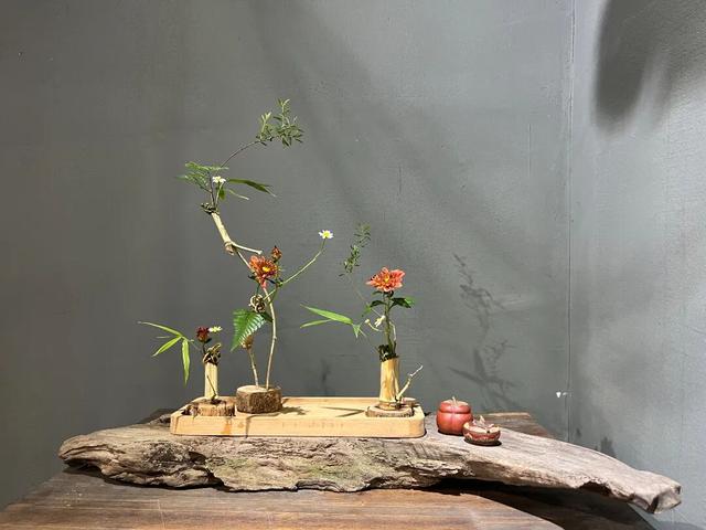 30个名师菊花插花作品，带你赏尽秋日好风景