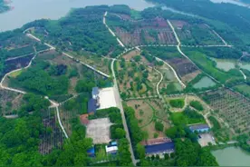 荆门市计划投资33.7亿元建设普通公路图片