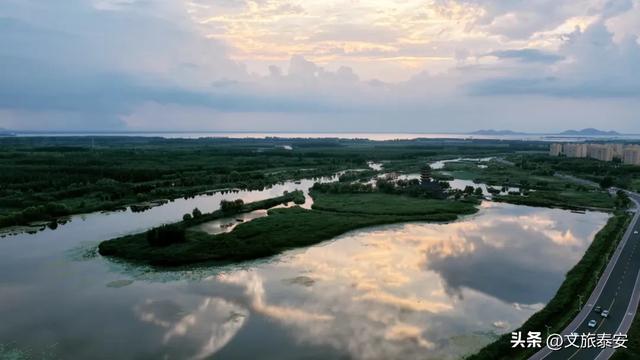静湖、暖阳、慢时光！入冬后的东平湖已经美成人间的童话啦~