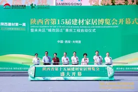 陕西省第十五届建博会在北三环大明宫开幕图片