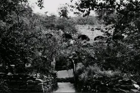 靖任秋：孙殿英其人其事图片