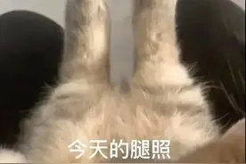 女子醒来发现腿上长满疙瘩！医生提醒：这种凉席里藏满了“虫子”图片