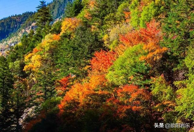 是什么让资深驴友每年秋天都偷偷跑去川西？？