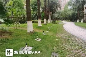 莆田一小区在绿化带建充电桩？物业回应！图片