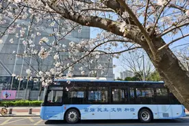 五一游宁波，“春日巴士”特色线路发布，可收藏！图片