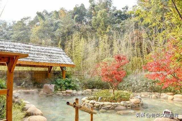 宁海：藏于宁波的宝藏小城，承包江南冬日的所有浪漫
