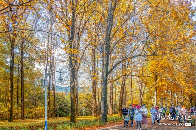 旅居云南·昆明好在（二十八）避寒游邂逅春城美