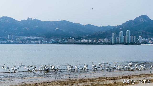 自驾车营地：山东威海荣成沿海床车房车免费露营地停车场自驾营地