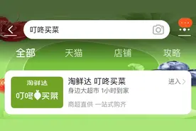 叮咚买菜入驻淘宝买菜图片