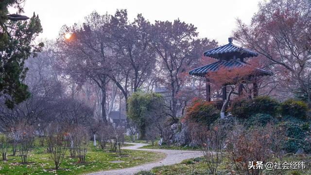 每日一景|冬日玄武湖景色