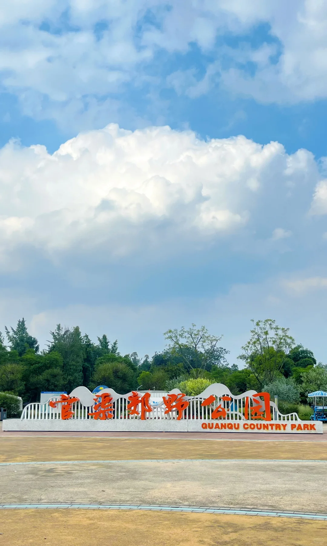 收藏！成都5个小众粉黛子花海，绝美0门票、拍照超出片