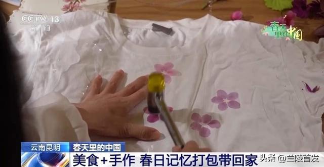 各地春日赏花有哪些好去处？请看这份赏花攻略