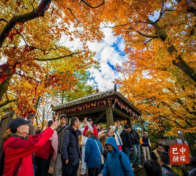 多图 | 红叶遍山野 赏秋正当时 光雾山红叶进入最佳观赏期