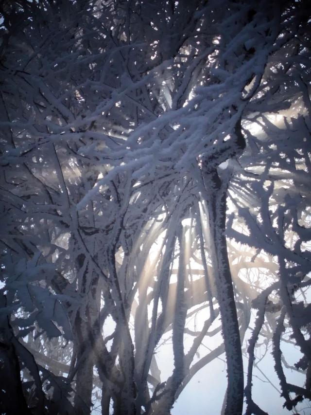 又来？这样的随州，你见没见过？