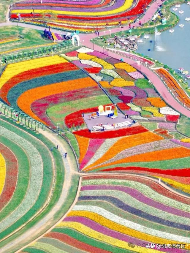 10月第5期（5天）点评